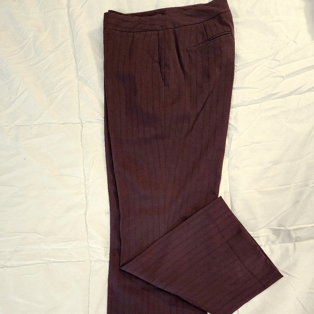 Dark Burgundy Suits Pants